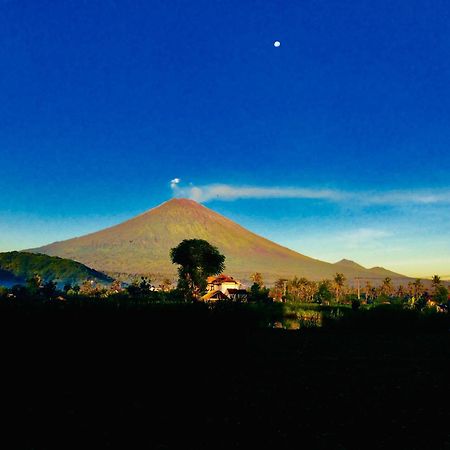 D'Uma Amed Homestay Buitenkant foto