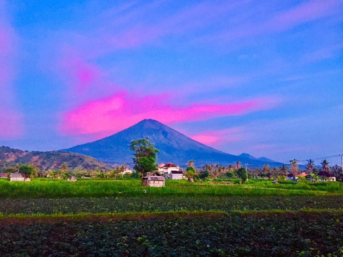D'Uma Amed Homestay Buitenkant foto