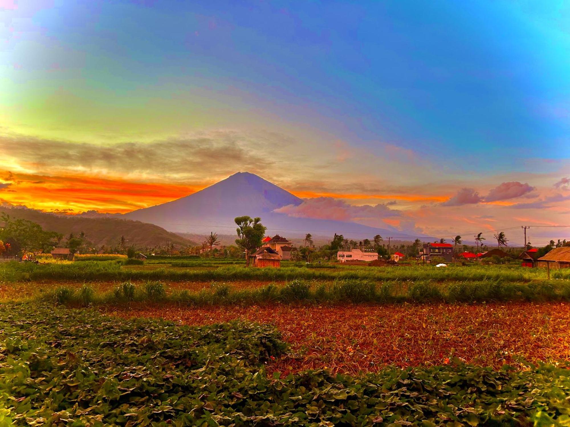 D'Uma Amed Homestay Buitenkant foto