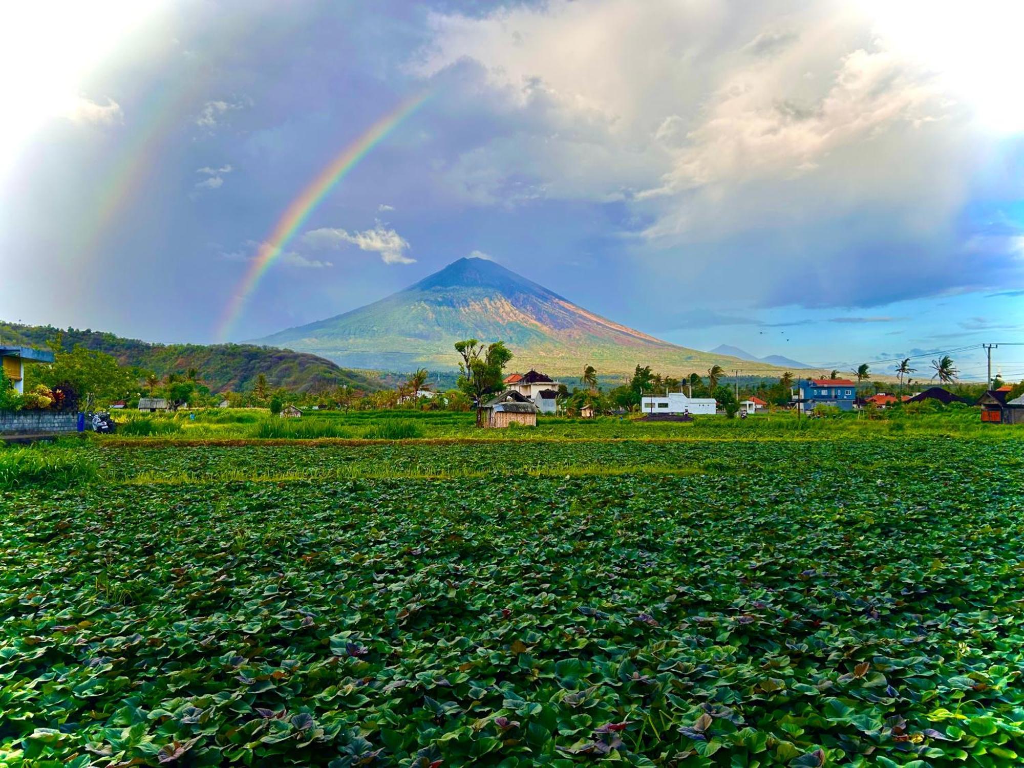 D'Uma Amed Homestay Buitenkant foto