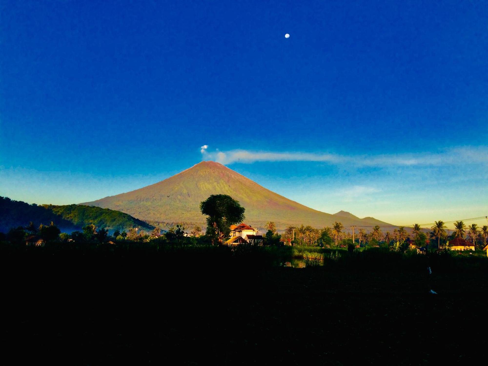 D'Uma Amed Homestay Buitenkant foto