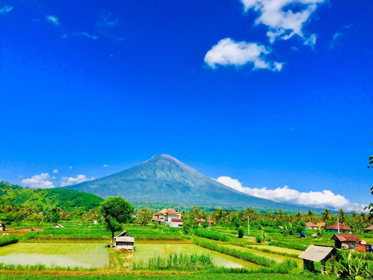 D'Uma Amed Homestay Buitenkant foto